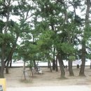 남해 그곳 이미지