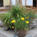 한신회센타 이미지