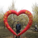 구례의 휴일 이미지