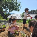 20260517 영채,영서 이미지
