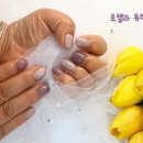 로셀라뷰티