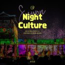 향연 | 수원 볼거리 화서문 미디어아트 새빛향연 후기