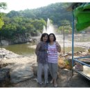 웰빙나라(과일이랑야채랑) 이미지