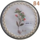 야생화 자수 이미지