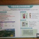 영림슈퍼 | 가평여행 국립유명산자연휴양림 종달새 1박 후기 ｜새우,소고기,어묵탕요리