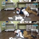 MBC 어린이 인형극 이미지