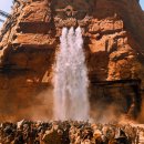 광신농장 | 영화, 퓨리오사 매드맥스 사가 관람 후기