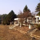수동초교 이미지