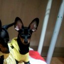 해랑방1 Daum카페