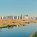 성수2가제3동작은도서관 | 2025 서울 벚꽃 개화시기와 벚꽃명소 추천