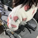 대세엠케어 | 대세엠케어 Partner i100 휠체어 구매후기