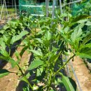 주완농장 이미지