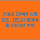 심화랑