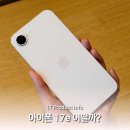 아이폰 17e 소프트핑크 실물 디자인 후기, 쓸만한 스펙일까?
