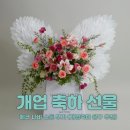 개업 축하 선물로 좋은 에코나비스툴 후기 (개업 축하 문구 추천)