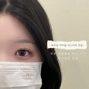 바우빈브로우