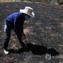 기곡경로당 이미지