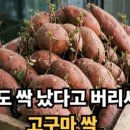 황금세탁소 이미지