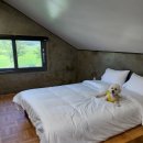 태안 알로하오에 애견풀빌라 이미지