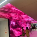 영사우나 | 서울 강서구 대형 찜질방 베뉴지아쿠아24 사우나 후기