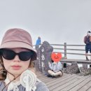 제주올레 | 제주 올레길 스탬프투어 - 완주 후기 🌿🚶‍♀️