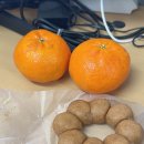 복터진 강아지 | 2026.02. 도대체 뭘 자꾸 처하자는 건지 (진짜 모름)