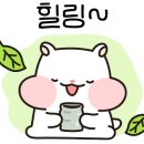 패러그린 대연점 이미지