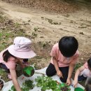 금촌유아숲체험원 이미지