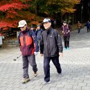 서울대공원 (35 매화산악회 정기산행 - 2024. 11. 19) 이미지