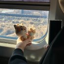 뭉티기조은날 | 누나 혹시 데이식스예요?