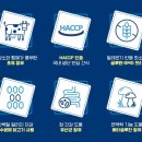 앤더독 이미지