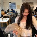 세상의 모든 음악 6 - 스트링판타지 | 더바넷 소버샵 라비돌 르플레인 리브아워 웨어웨더 SS 스포 위시리스트