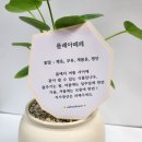 (주)플레아 네이버블로그