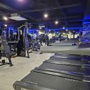 해빗피트니스 성수점 이미지