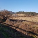 연리지 태양광발전소 이미지