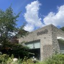 몬티첼로 | 🤿평창 흥정계곡 몬티첼로펜션 1박2일 놀러갔다옴🏊‍♂️ / 여름휴가 물놀이 계곡 추천