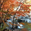 JIRI VALLEY 이미지