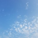 케이엘상사 이미지