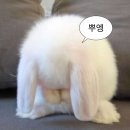 지비의 방탈출 생활 [홍대 방탈출] 룸엘이스케이프 - 베니 / 방탈출 후기