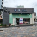 플라쏘 이미지