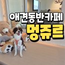 멍디저트 | 포항 송도 애견동반카페 멍쥬르 내돈내산 후기