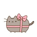선 헤어 이미지