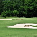 이동그라운드골프장 이미지