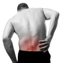 정직한 FIT 이미지