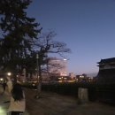 이츠모스시 | 추천, 일본 전기자전거 LUUP 후기, 구로몬시장 맛집...타코야키, 오사카 부엉이카페, 이츠모 루쿠아