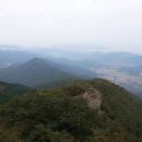 한치도로변 이미지