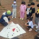 녹야어린이집 이미지