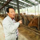 박기철농장 Daum카페
