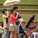 로맨스 파파 이미지