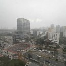 어진동_인사혁신처앞BRT 이미지